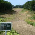 slide